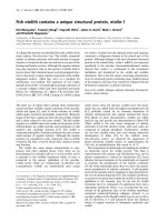 Báo cáo khoa học: Fish otolith contains a unique structural protein, otolin-1 doc