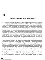 dielectrics in electric fields (11)