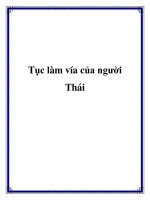 Tục làm vía của người Thái doc