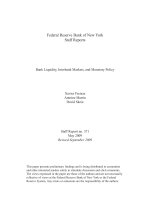 Federal Reserve Bank of New York Staff Reports: Bank Liquidity, Interbank Markets, and Monetary Policy pptx