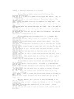 coming to america essay