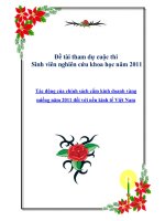 Đề tài:Tác động của chính sách cấm kinh doanh vàng miếng năm 2011 đối với nền kinh tế Việt Nam ppt