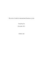 The role of credit in international business cycles ppt