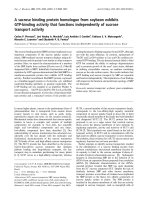 Báo cáo khoa học: A sucrose binding protein homologue from soybean exhibits GTP-binding activity that functions independently of sucrose transport activity pptx