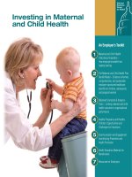 Investing in Maternal and Child Health pdf
