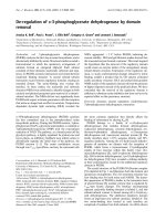 Báo cáo khoa học: De-regulation of D-3-phosphoglycerate dehydrogenase by domain removal ppt