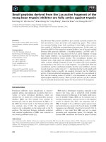 Báo cáo khoa học: Small peptides derived from the Lys active fragment of the mung bean trypsin inhibitor are fully active against trypsin pptx