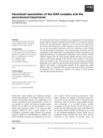 Báo cáo khoa học: Functional association of the AAA complex and the peroxisomal importomer potx