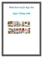 Bình hoa tuyệt đẹp cho ngày Giáng sinh pot