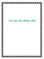 Cây núc nác chống viêm pptx