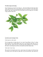 Bí quyết chăm sóc tóc cho bạn gái potx