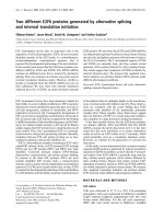 Báo cáo Y học: Two different E2F6 proteins generated by alternative splicing and internal translation initiation ppt