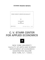 C.V. STARR CENTER FOR APPLIED ECONOMICS pdf