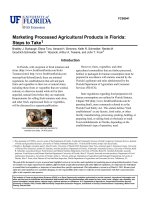 Marketing Processed Agricultural Products in Florida: Steps to Take pdf
