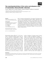 Báo cáo khoa học: The enantioselectivities of the active and allosteric sites of mammalian ribonucleotide reductase pptx
