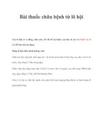 Bài thuốc chữa bệnh từ lô hội potx