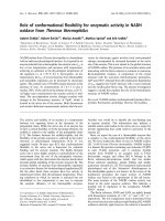 Báo cáo khoa học: Role of conformational ﬂexibility for enzymatic activity in NADH oxidase from Thermus thermophilus pptx