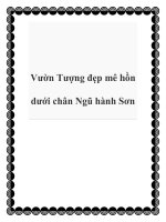Vườn Tượng đẹp mê hồn dưới chân Ngũ hành Sơn pot