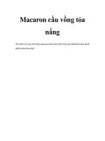 Macaron cầu vồng tỏa nắng ppt