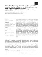 Báo cáo khoa học: Effect of oculopharyngeal muscular dystrophy-associated extension of seven alanines on the ﬁbrillation properties of the N-terminal domain of PABPN1 pot