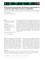 Báo cáo khoa học: Post-ischemic brain damage: NF-jB dimer heterogeneity as a molecular determinant of neuron vulnerability pdf