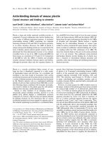 Báo cáo khoa học: Actin-binding domain of mouse plectin Crystal structure and binding to vimentin pot