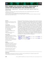 Báo cáo khoa học: New insights into structure–function relationships of oxalyl CoA decarboxylase fromEscherichia coli pptx