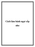 Cách làm bánh ngọt xốp nho ppt