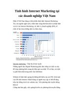 Tình hình Internet Marketing tại các doanh nghiệp Việt Nam pot