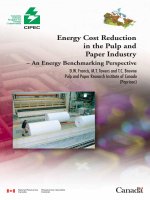 Energy Cost Reduction in the Pulp and Paper Industry – An Energy Benchmarking Perspective docx