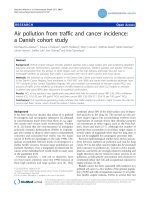 Air pollution from traffic and cancer incidence: a Danish cohort study potx
