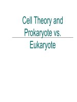 Notes cell theory and prok vs eukaryote