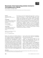 Báo cáo khoa học: Novel brain 14-3-3 interacting proteins involved in neurodegenerative disease doc
