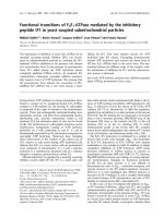 Báo cáo khoa học: Functional transitions of F0F1-ATPase mediated by the inhibitory peptide IF1 in yeast coupled submitochondrial particles pdf