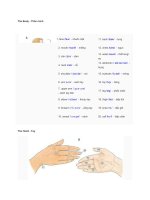 Từ vựng tiếng anh bằng hình 1  the body