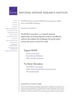 Understanding Proto-Insurgencies - RAND Counterinsurgency Study -- Paper 3 doc