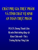CHẤT PHỤ GIA THỰC PHẨM VÀ TÍNH CHẤT VỆ SINH AN TOÀN THỰC PHẨM docx