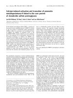 Báo cáo khoa học: Calcium-induced activation and truncation of promatrix metalloproteinase-9 linked to the core protein of chondroitin sulfate proteoglycans pot