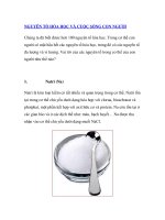 NGUYÊN TỐ HÓA HỌC VÀ CUỘC SỐNG CON NGƯỜI potx