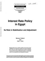 Interest Rate Policy in Egypt - Its Role in Stabilization and Adjustment pdf