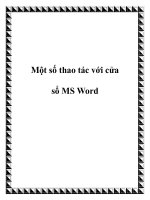 Một số thao tác với cửa sổ MS Word ppt