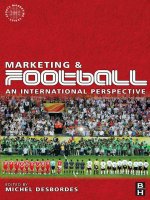 Marketing and Football An international perspective potx