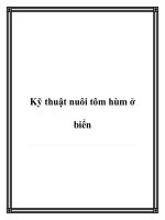 Kỹ thuật nuôi tôm hùm ở biển pot