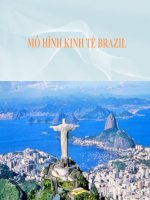 BÀI THUYẾT TRÌNH: MÔ HÌNH KINH TẾ BRAZIL pdf