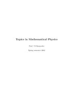 Topics in mathematical physics   victor palamodov