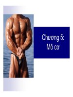 Chương 5: Mô cơ pptx