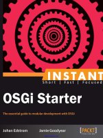 Instant OSGi Starter pot
