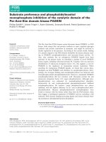 Báo cáo khoa học: Substrate preference and phosphatidylinositol monophosphate inhibition of the catalytic domain of the Per-Arnt-Sim domain kinase PASKIN ppt