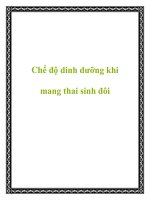 Chế độ dinh dưỡng khi mang thai sinh đôi doc