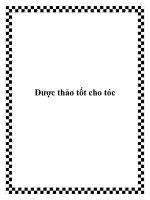 Dược thảo tốt cho tóc docx